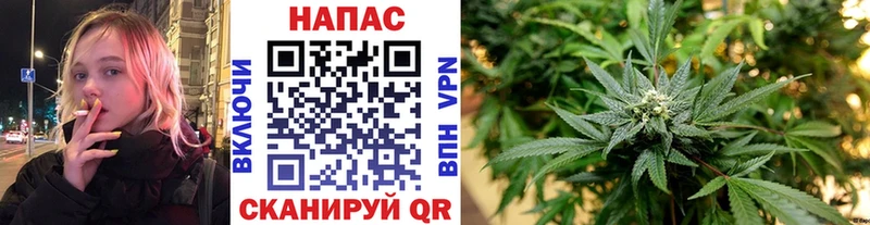 Где найти наркотики Реж Канабис  COCAIN  Alpha-PVP  Мефедрон 