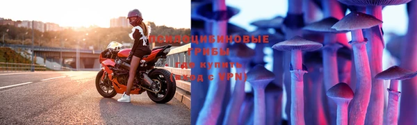 тгк Беломорск