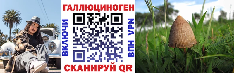 где найти Реж Галлюциногенные грибы прущие грибы