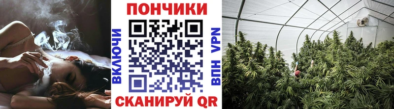 Бошки Шишки ГИДРОПОН  где продают наркотики  блэк спрут ссылки  Реж 